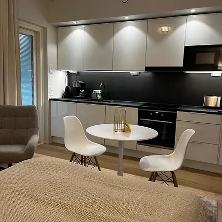 Viihtyisae Kaupunkiyksioe Saunalla Διαμέρισμα