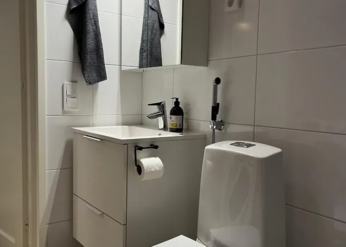 公寓 Viihtyisae Kaupunkiyksioe Saunalla *