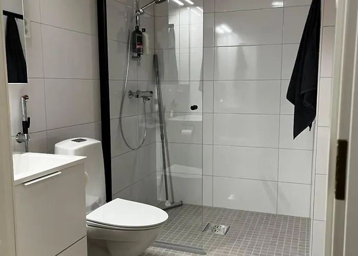 公寓 Viihtyisae Kaupunkiyksioe Saunalla *