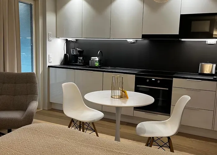 Viihtyisae Kaupunkiyksioe Saunalla 公寓