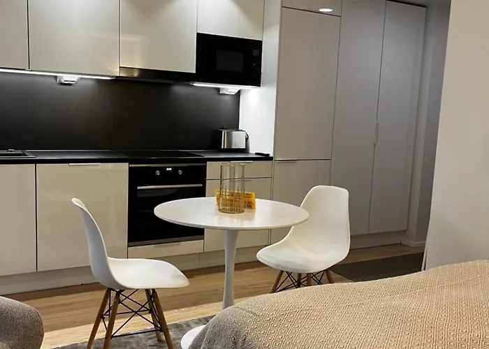 公寓 Viihtyisae Kaupunkiyksioe Saunalla *